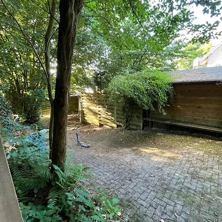 Lejlighed Schoenes 2,5 Mit Hof Und Garten *